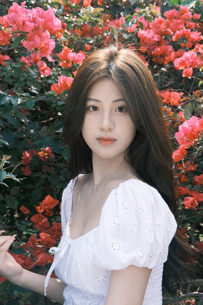坚如磐石 封面